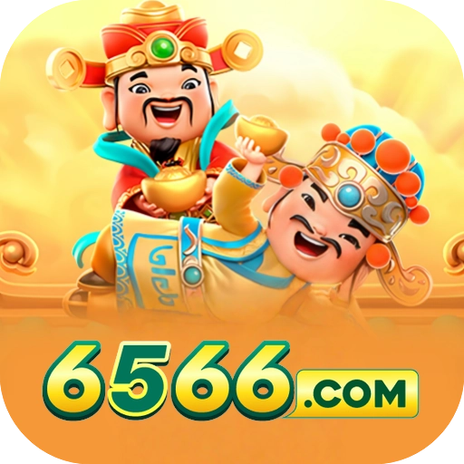 6566